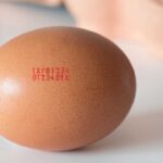 Codice delle uova pourfemme.it