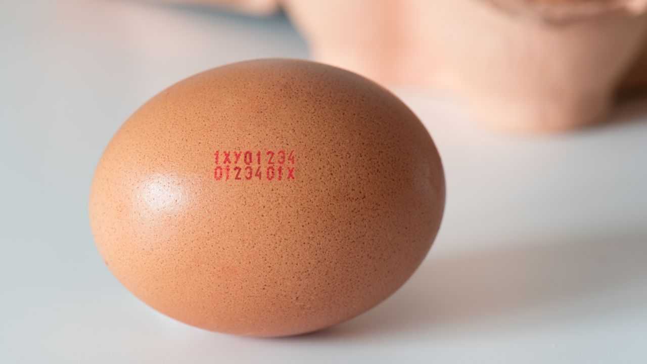 Codice delle uova pourfemme.it