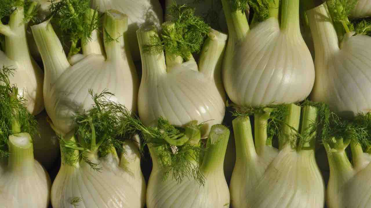 dieta del finocchio