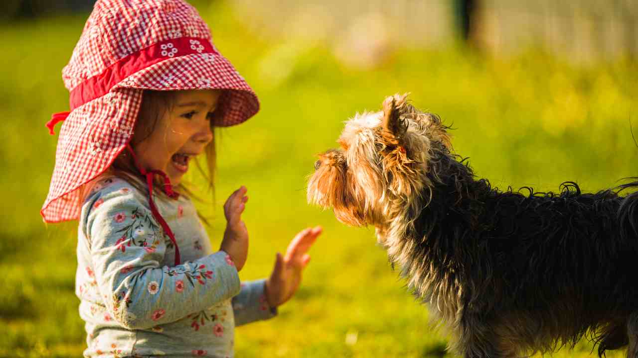 Yorkshire e bambini - Pourfemme.it
