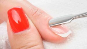 cuticole