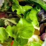 insalata in busta