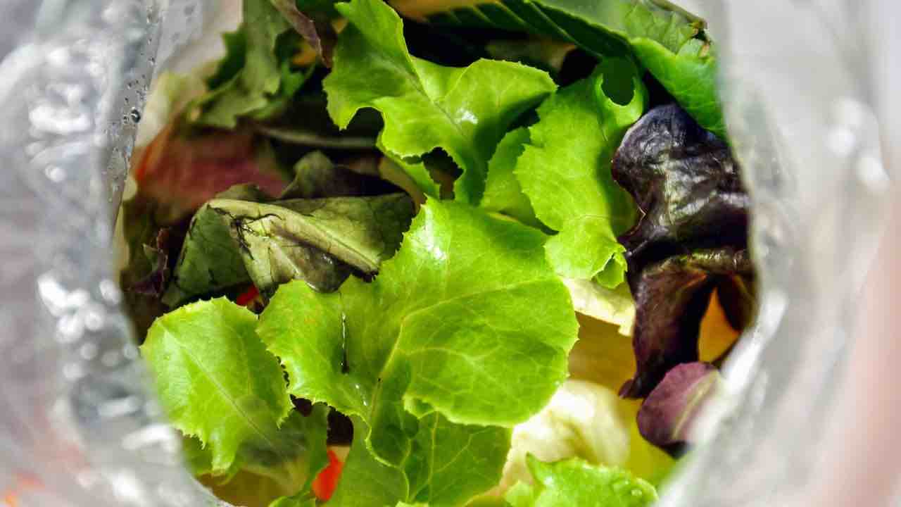 insalata in busta