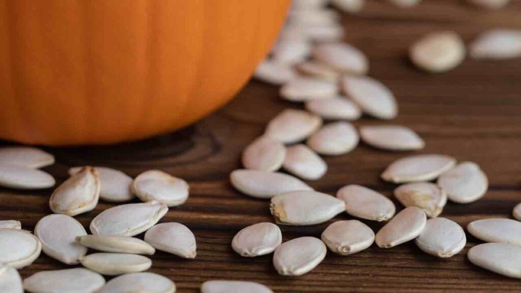 semi di zucca