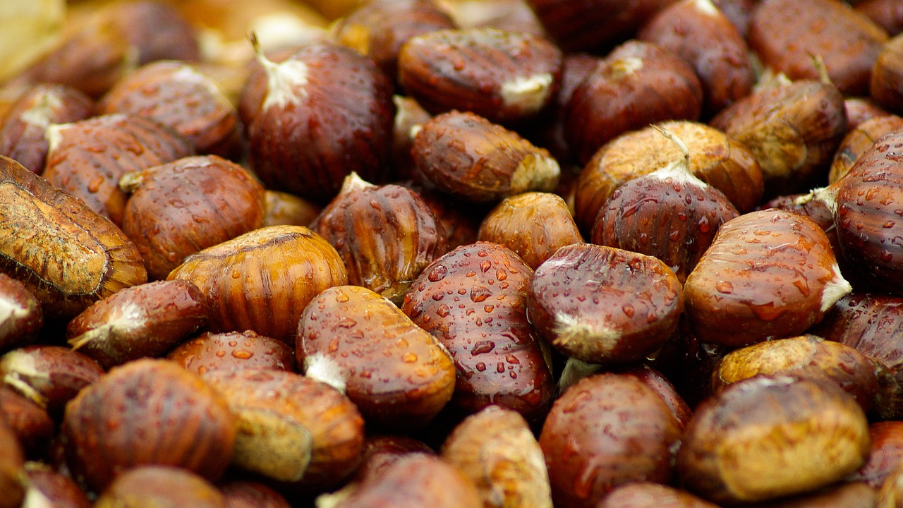 Rotolo di castagne dolci