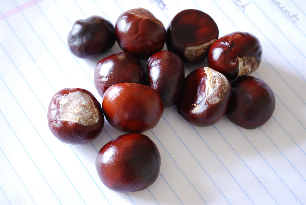 Castagne al latte