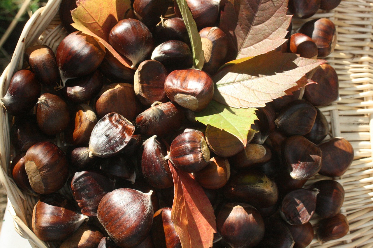 Come conserrvare le castagne