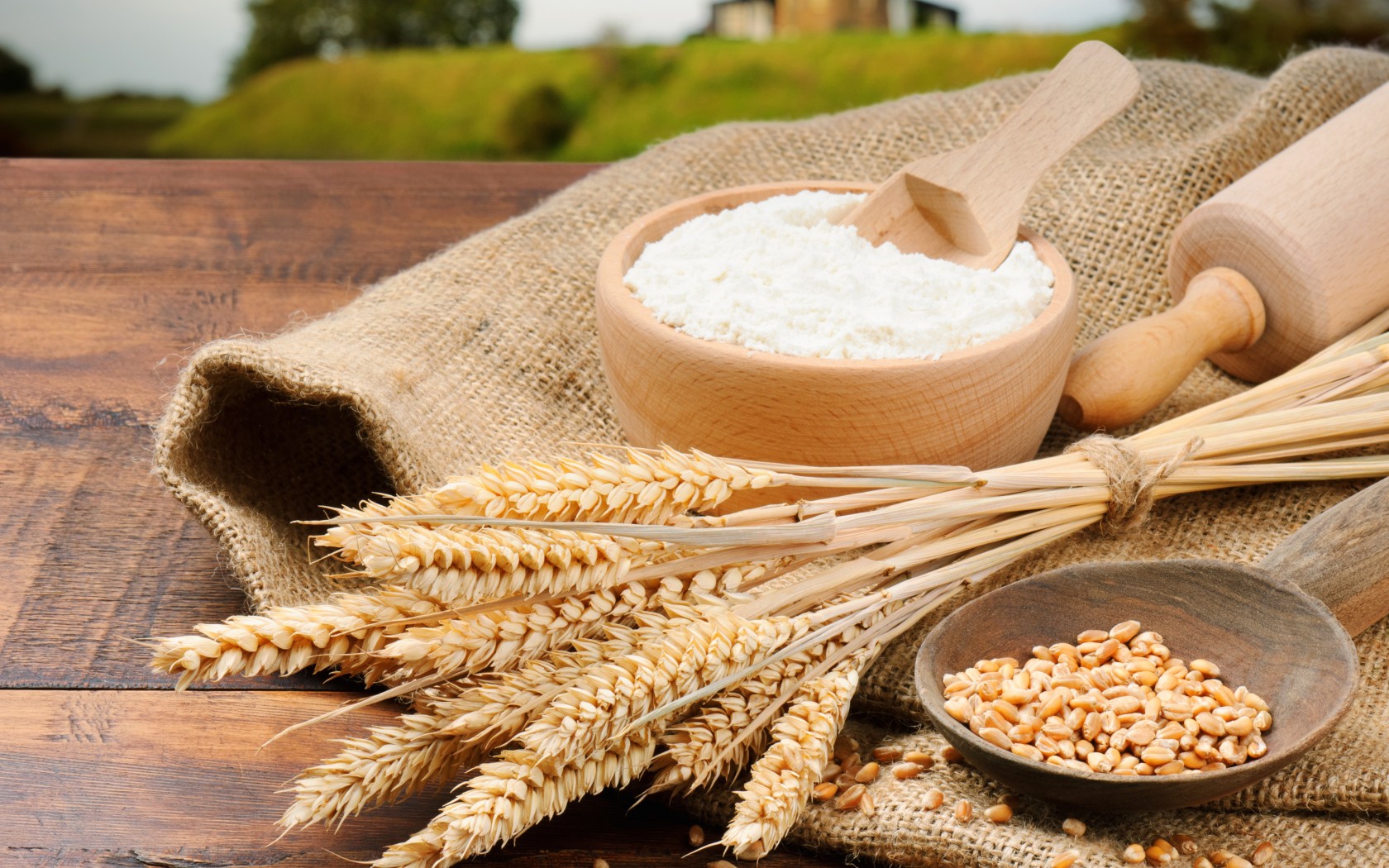 Diversi tipi di farina: le proprietà e le applicazioni