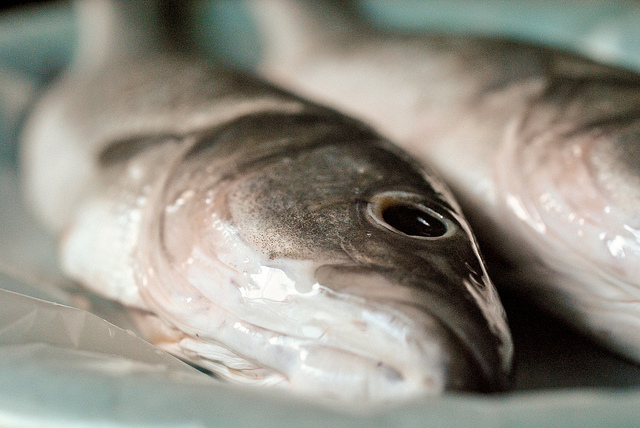 Branzino al sale