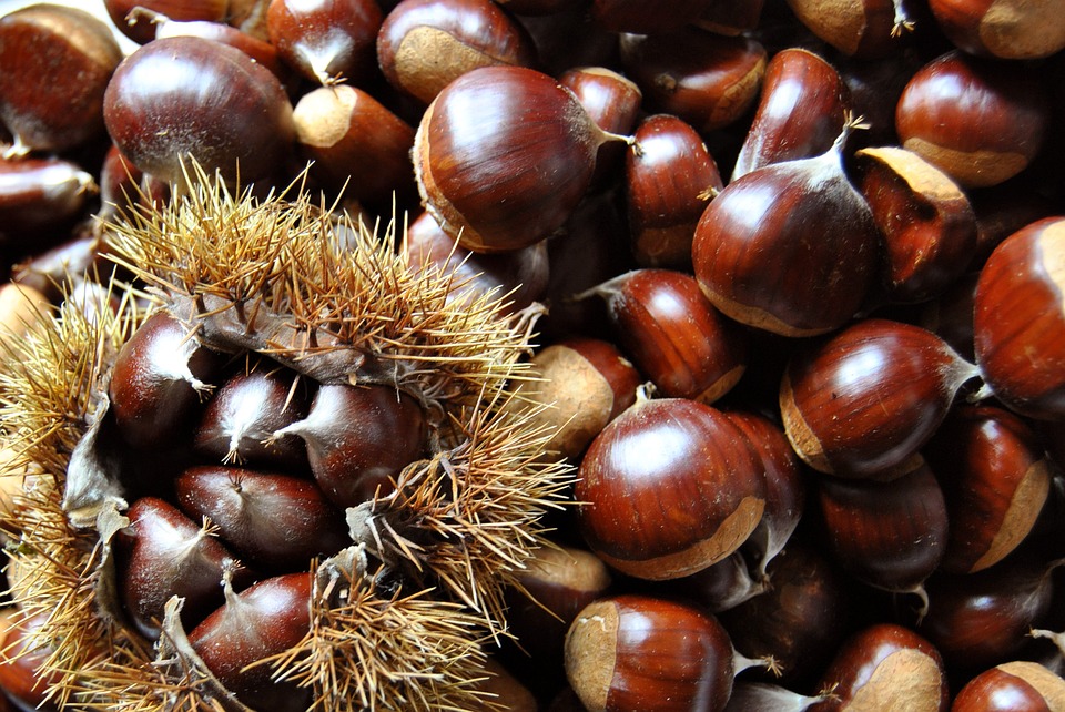 castagne come bollirle
