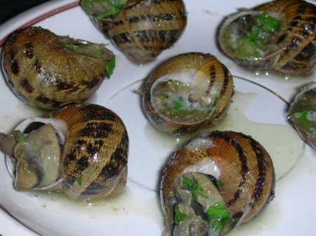 escargot