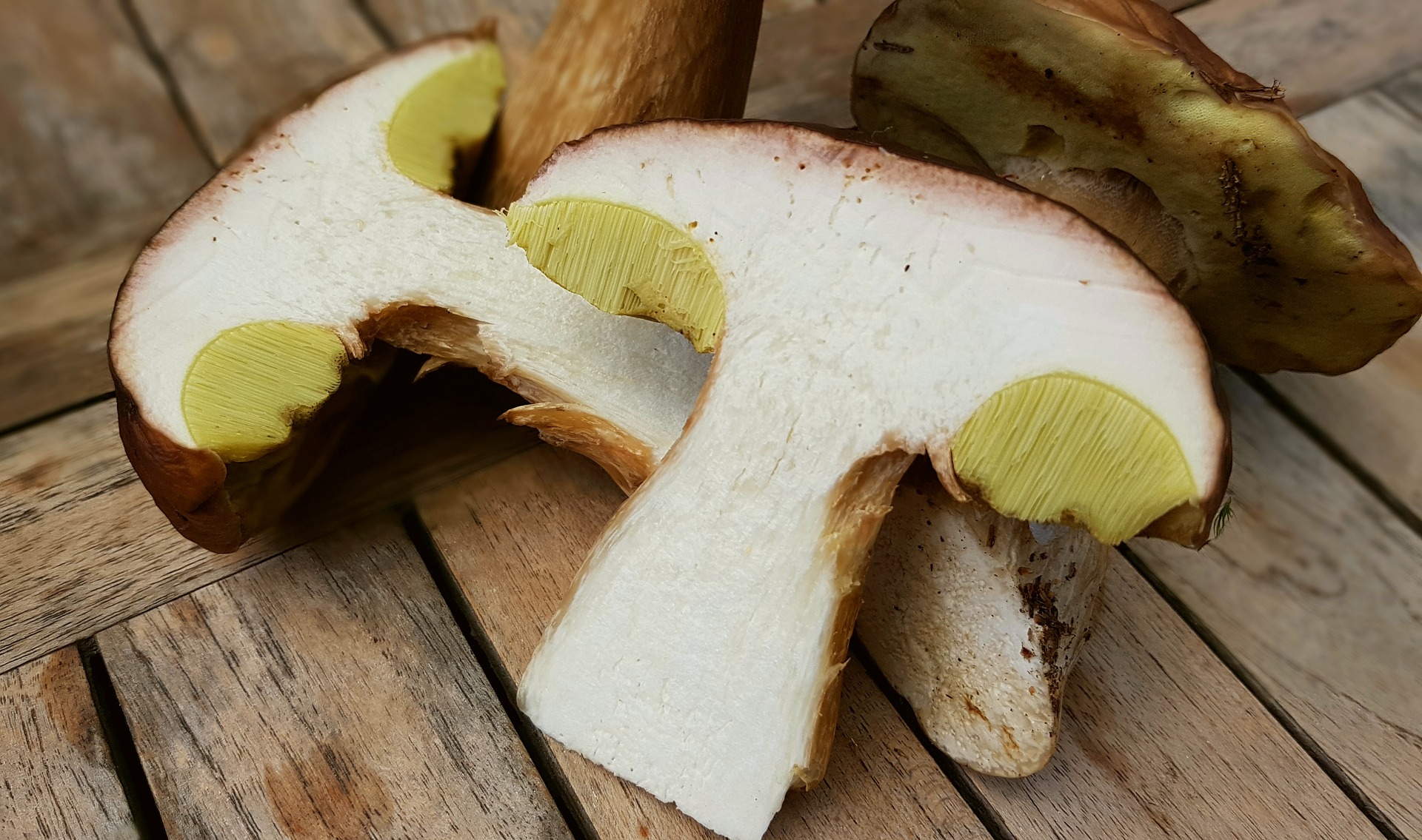 funghi porcini fritti