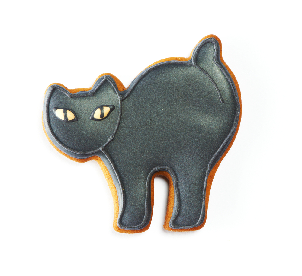 Gattini stregati