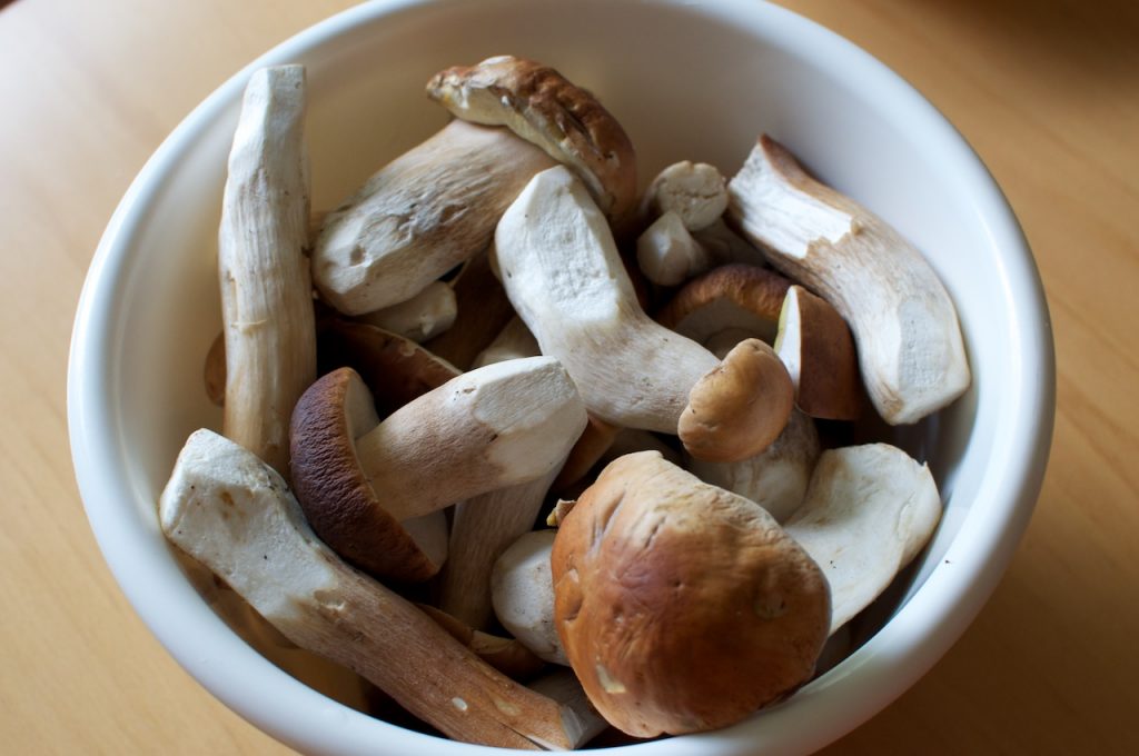 migliori ricette funghi porcini