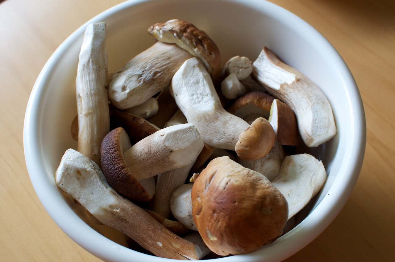 Ricette con funghi porcini: le 12 più buone