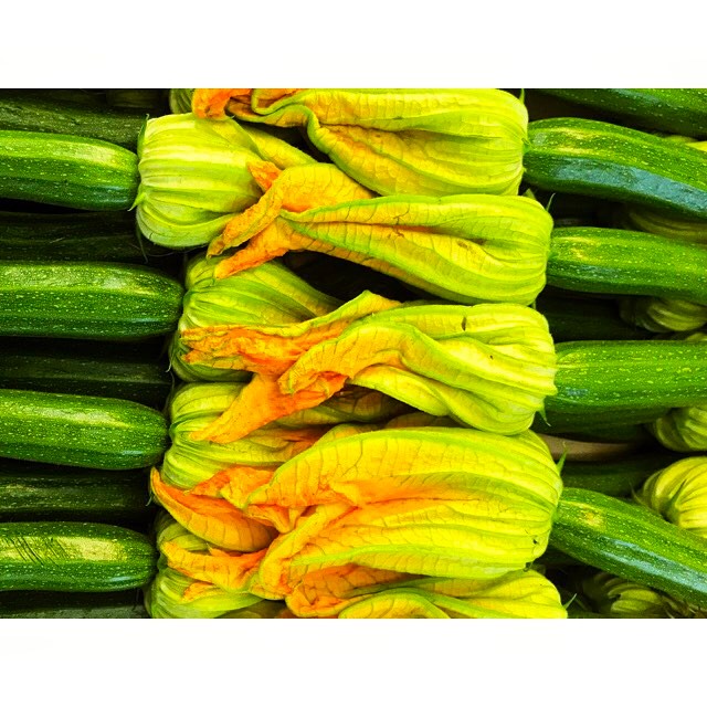 Le migliori 10 ricette con le zucchine