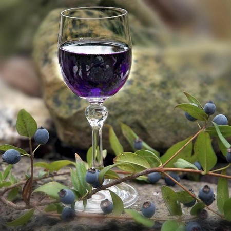 Mirto sardo