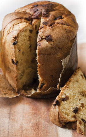 Panettone