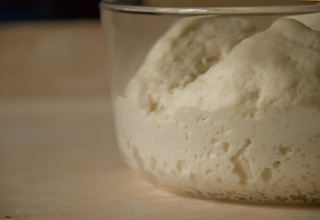 ricetta pasta madre