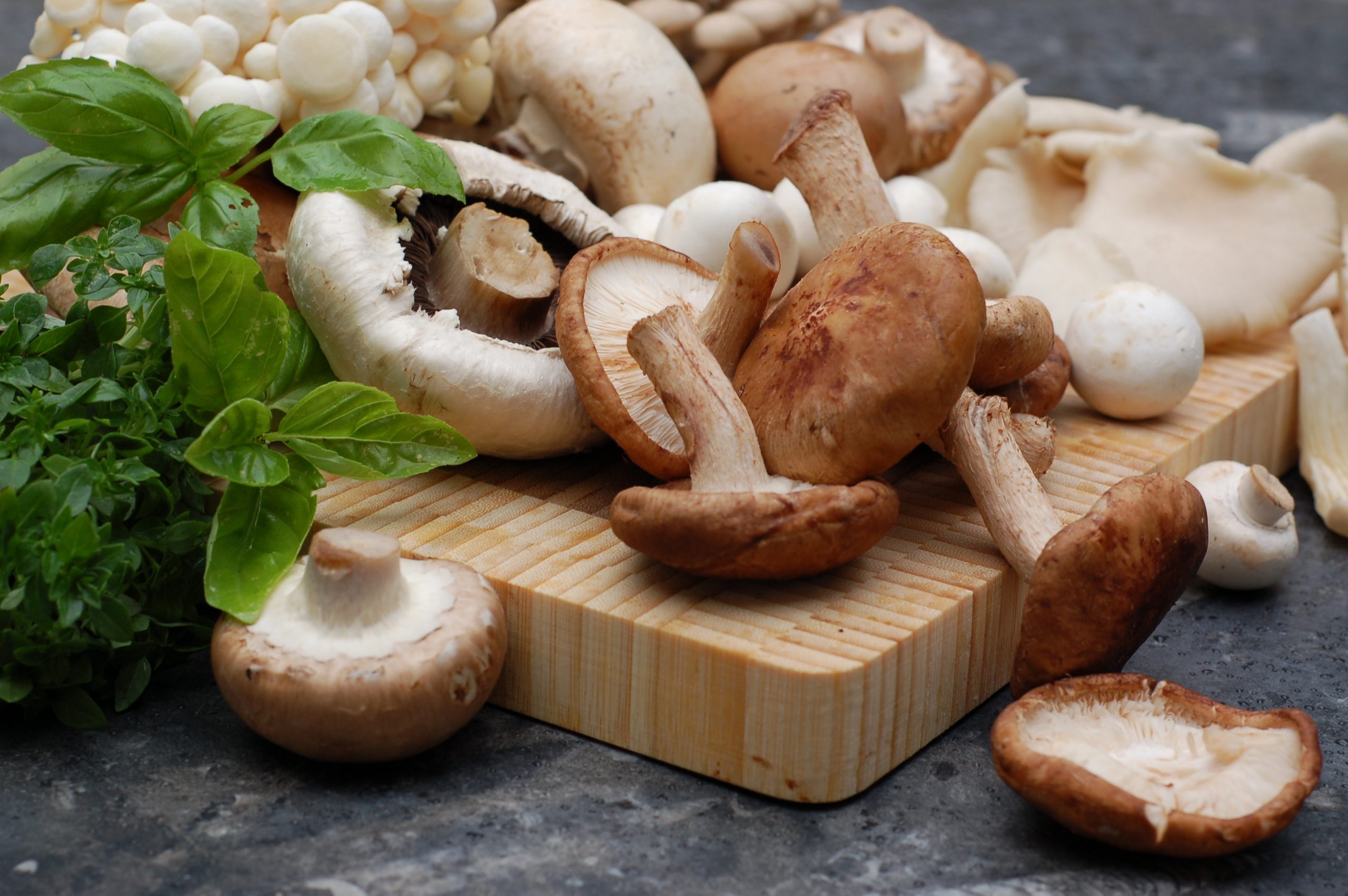 ricette con funghi