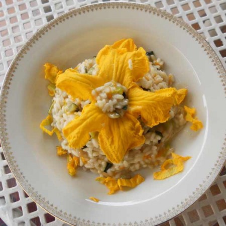 risotto fiori di zucca