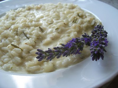 risotto lavanda ricetta