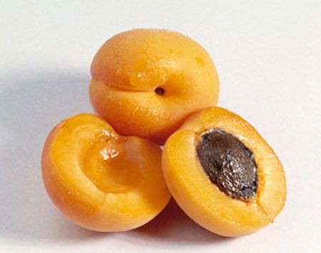 Albicocche
