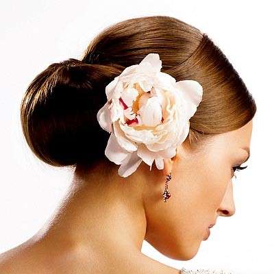 chignon