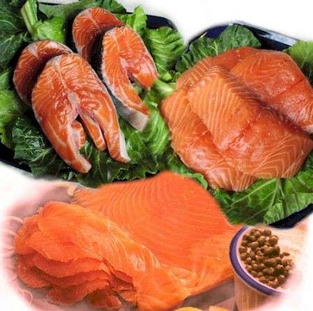 ricette salmone