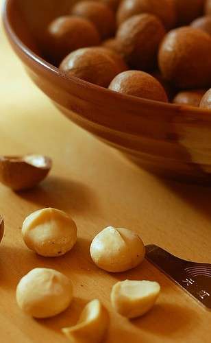 macadamia