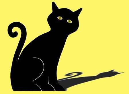 Gatto nero