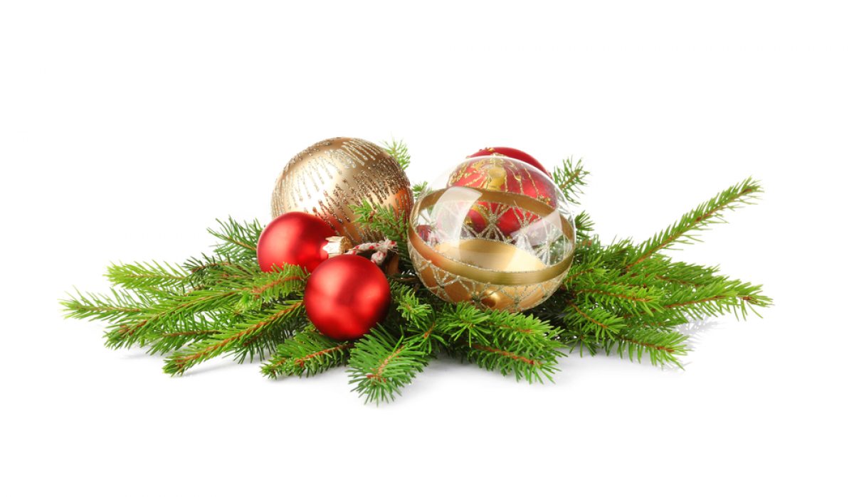 Menu Di Natale Anna Moroni.Natale 2009 Gli Appuntamenti In Tv Pourfemme