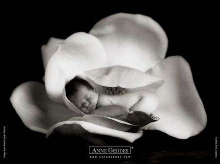 neonato anne geddes