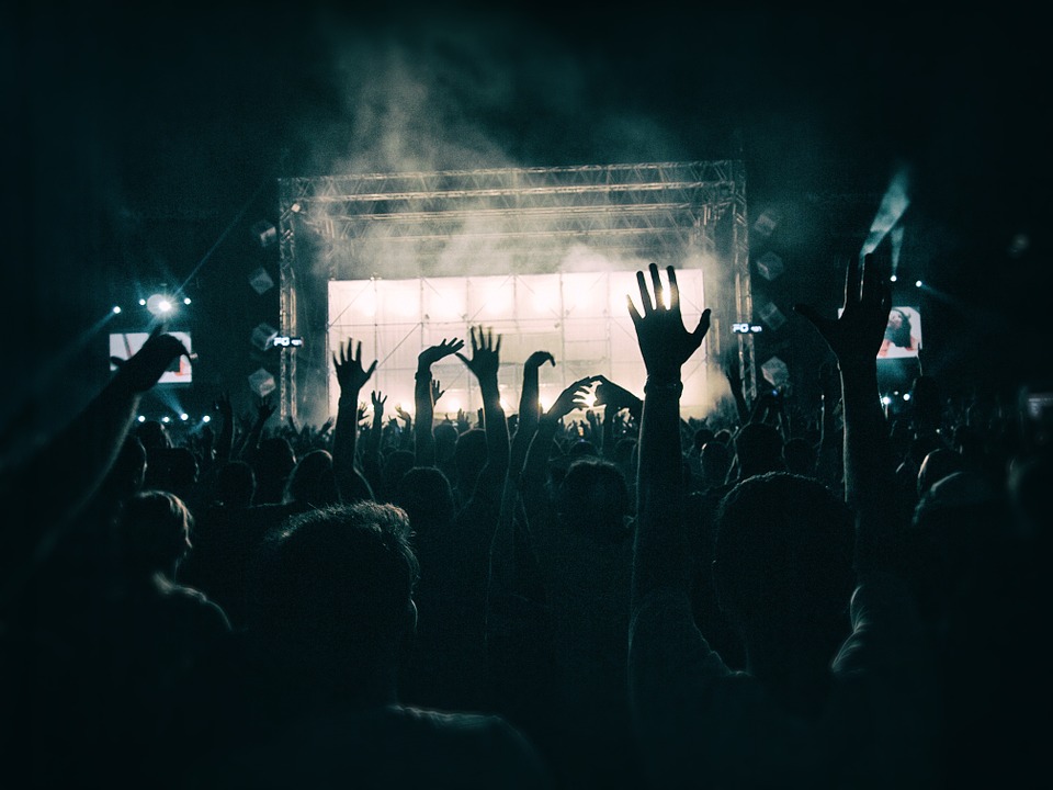 persone a un concerto