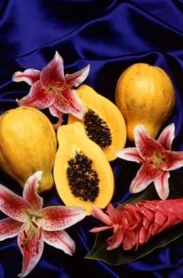 Papaia fiori