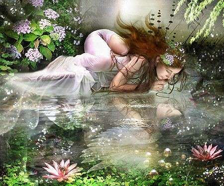 ninfa