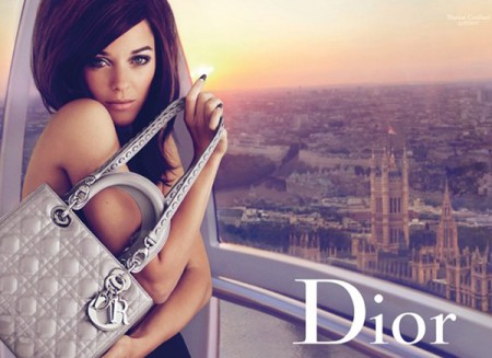 ladydior grey