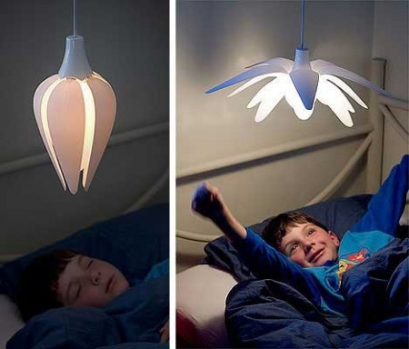 Luce obesità