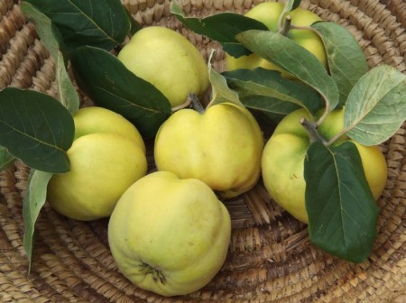 rimedi naturali mele cotogne