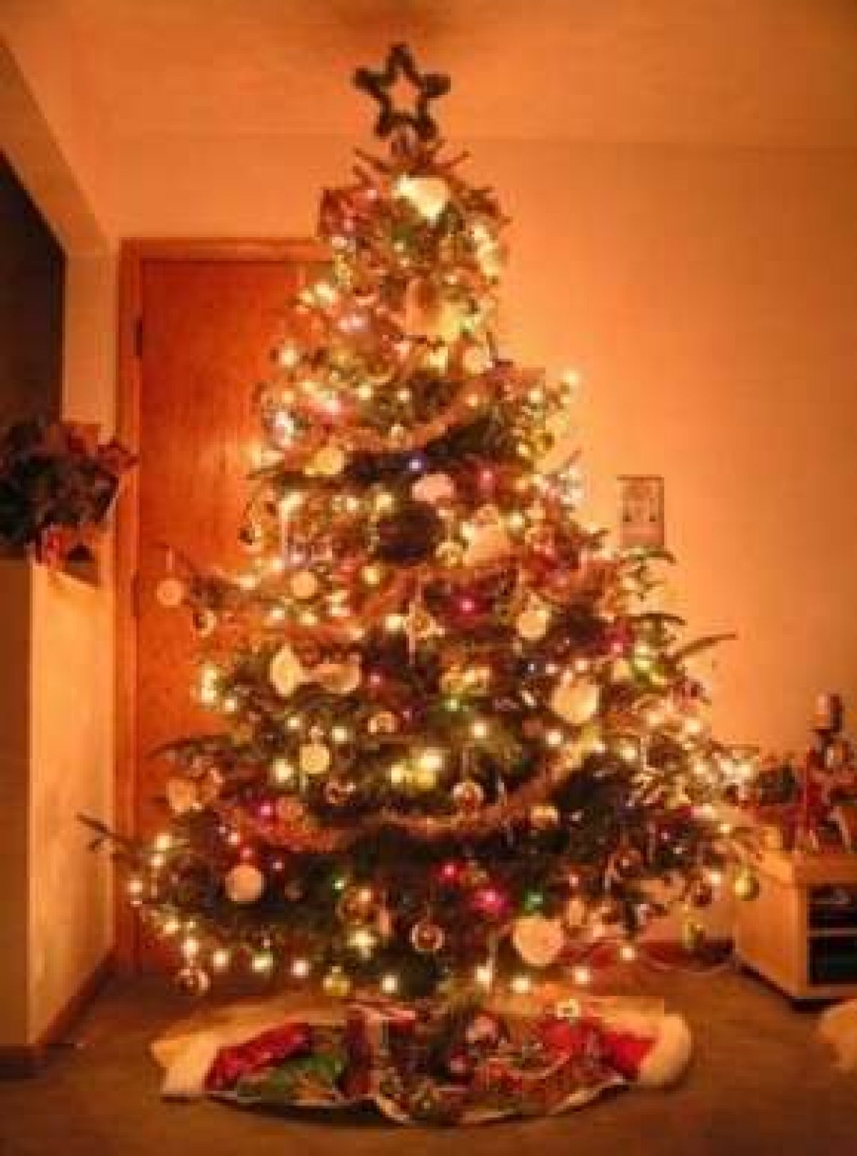 La Leggenda Dell Albero Di Natale Per Bambini.Albero Di Natale Storia E Leggende Pourfemme