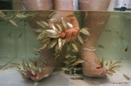 Fish pedicure