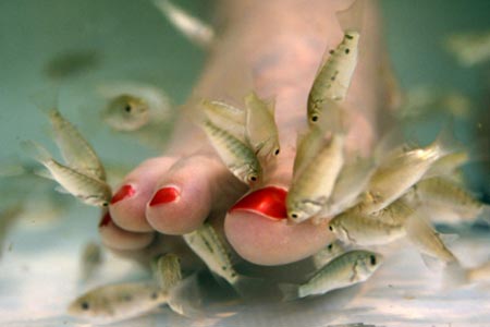 dieta del pesce prova costume