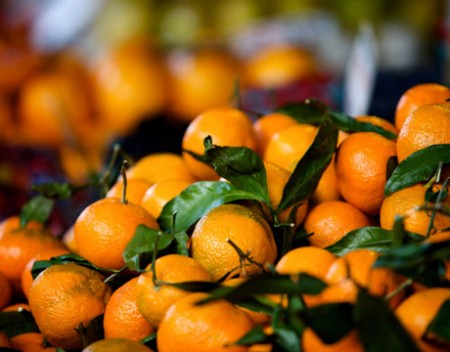 frutta bio arance