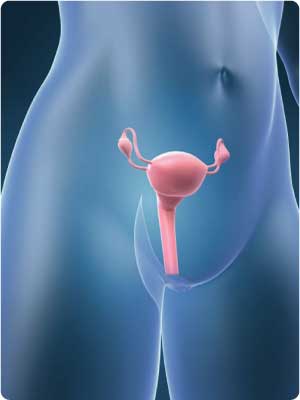 Tumori femminili ovaio1