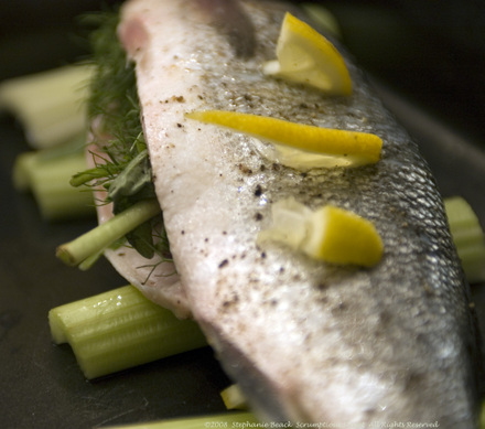 branzino cottura isca