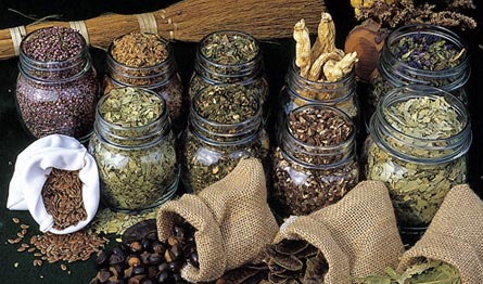 erbe aromatiche dieta