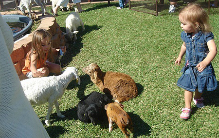 bambine e animali