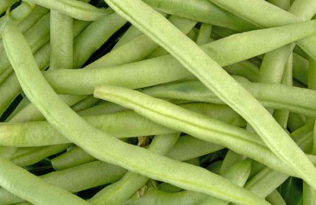 baccello fagiolini