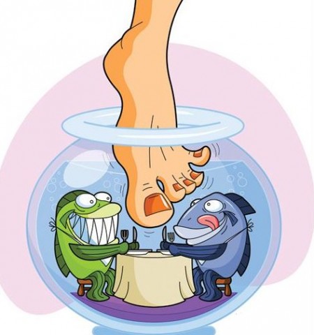 fish pedicure