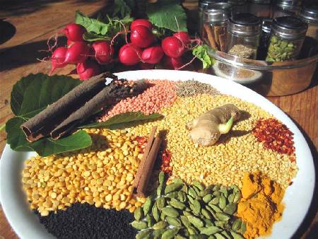 la dieta delle spezie